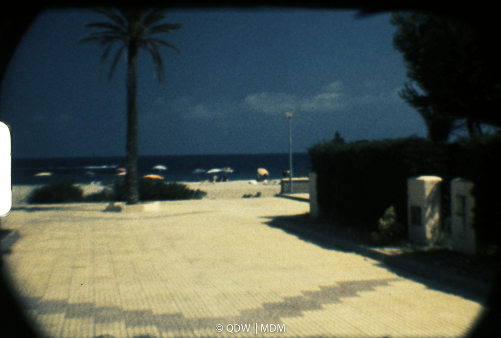Frame 0383