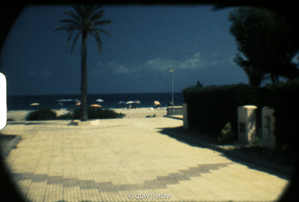Frame 0386