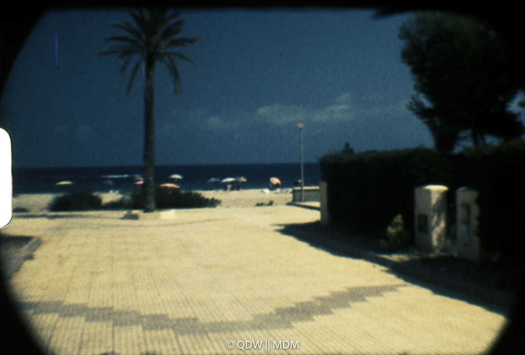 Frame 0387