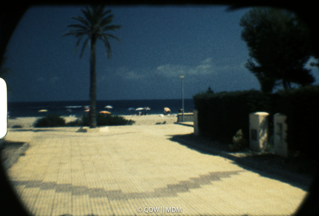 Frame 0389