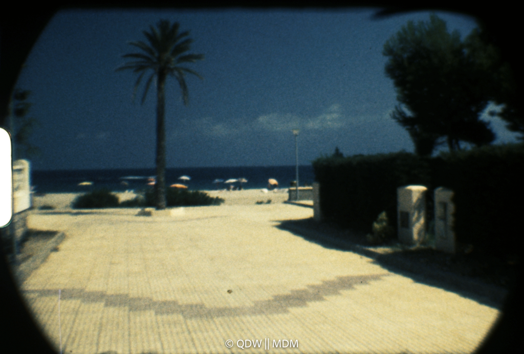 Frame 0395