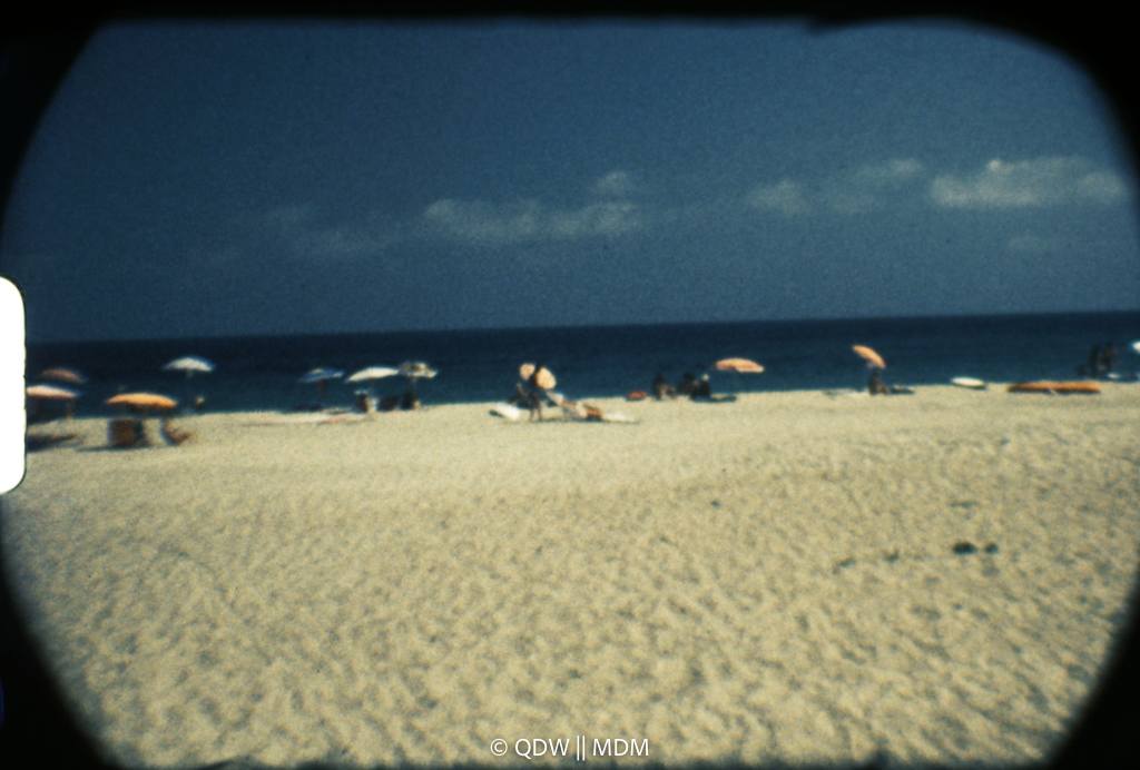 Frame 0426