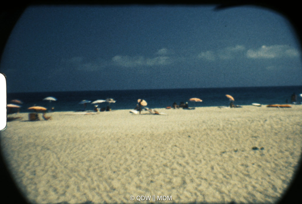 Frame 0443