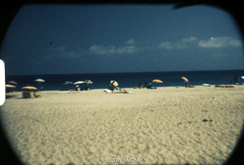 Frame 0445