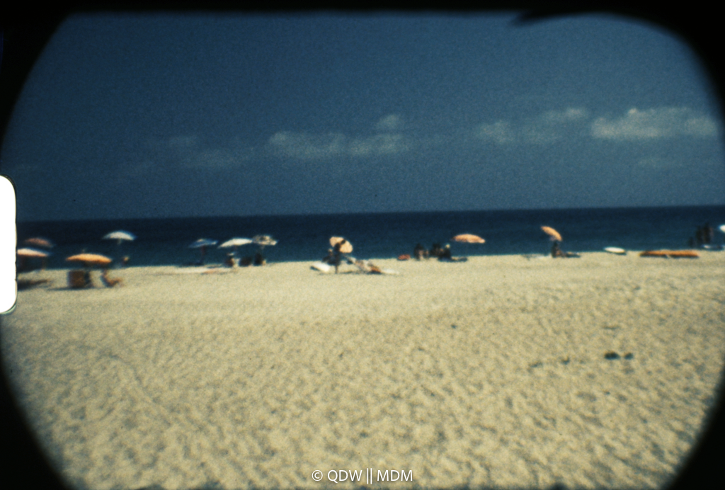 Frame 0454