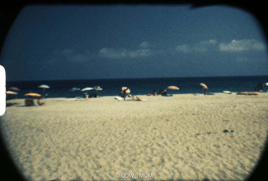 Frame 0455