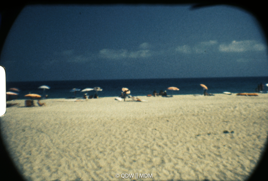 Frame 0460