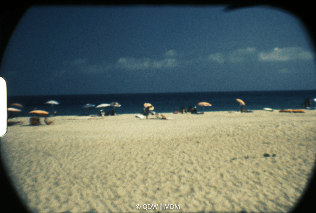 Frame 0461