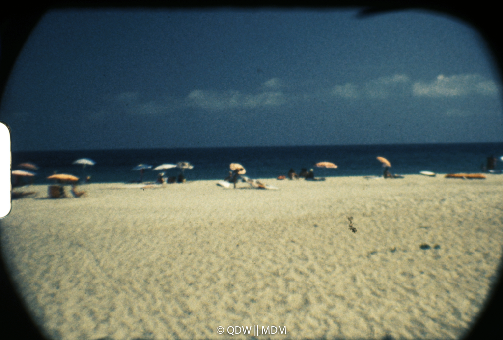 Frame 0467