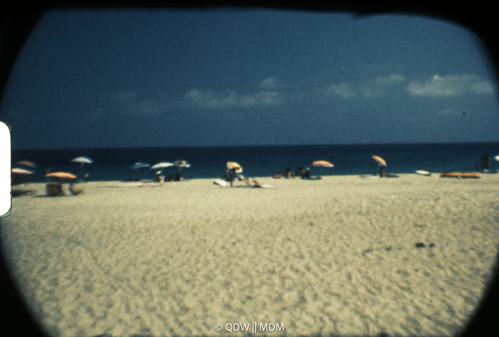 Frame 0478