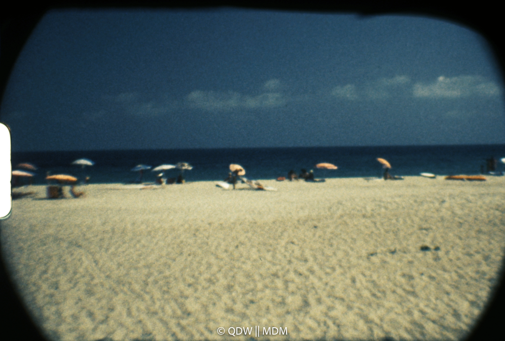 Frame 0479