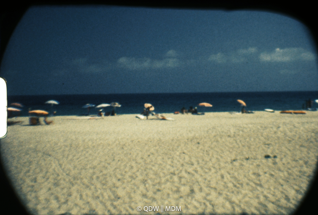 Frame 0480