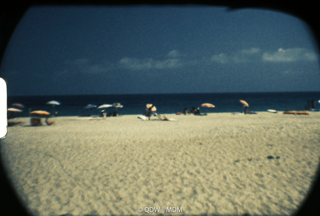 Frame 0484