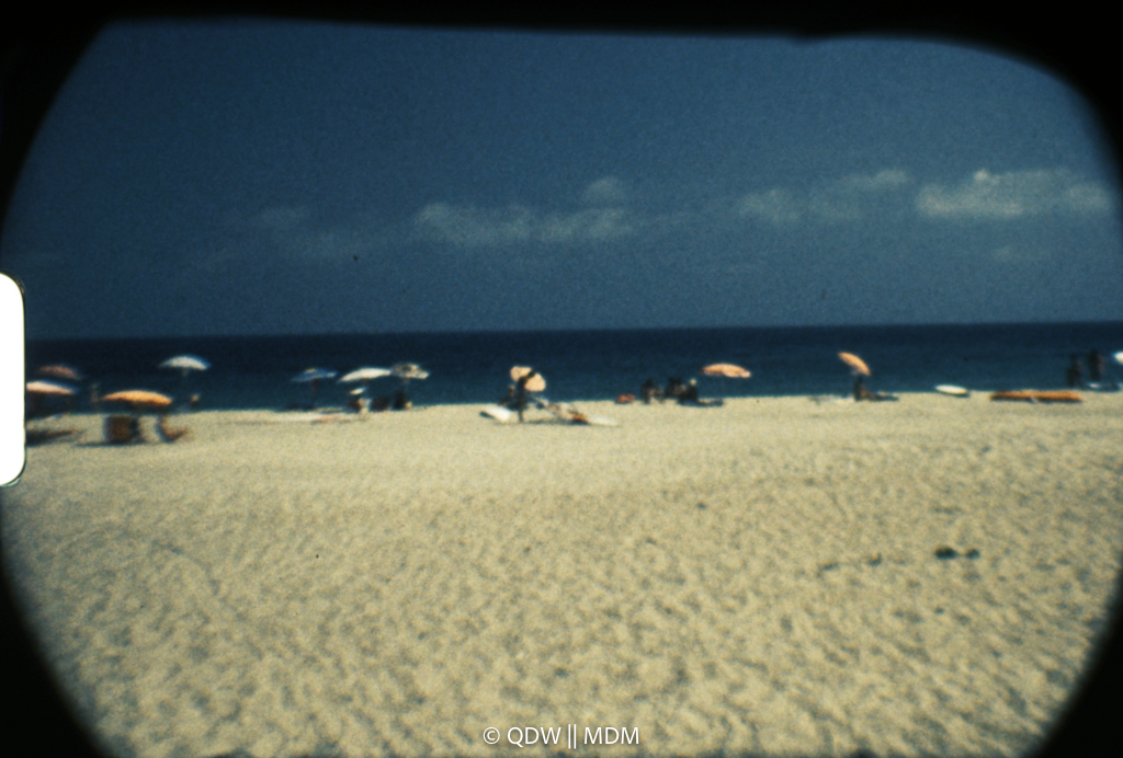 Frame 0490