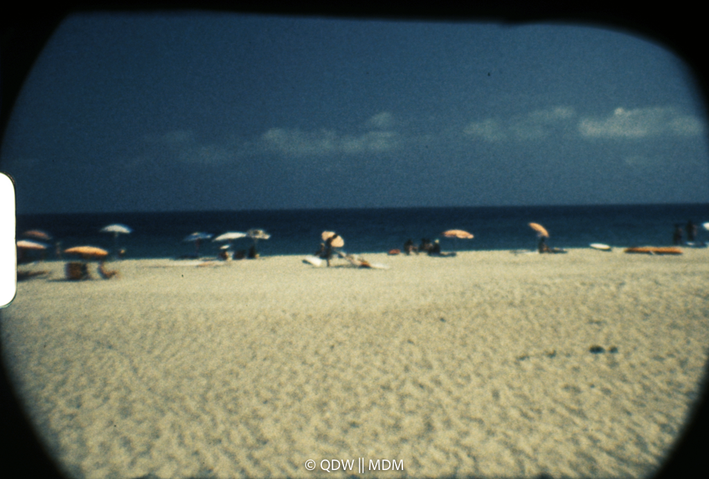 Frame 0491