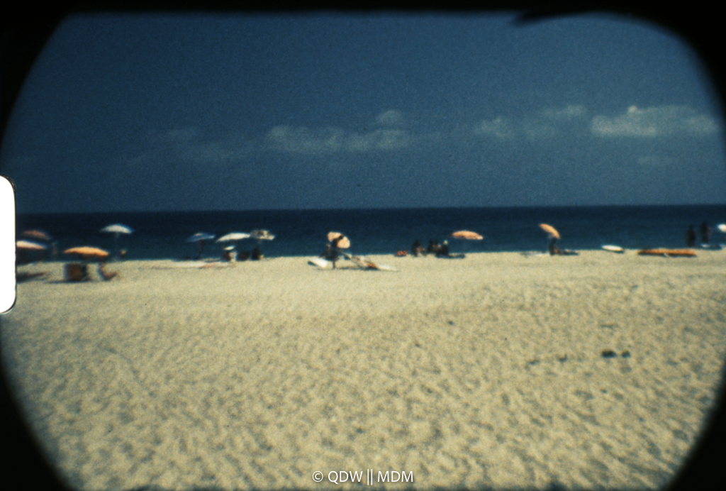 Frame 0497