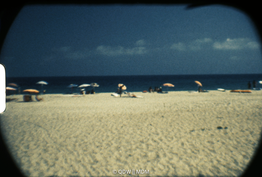 Frame 0498