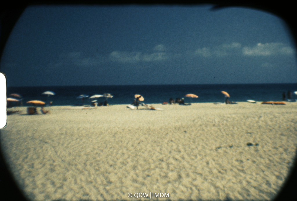 Frame 0502