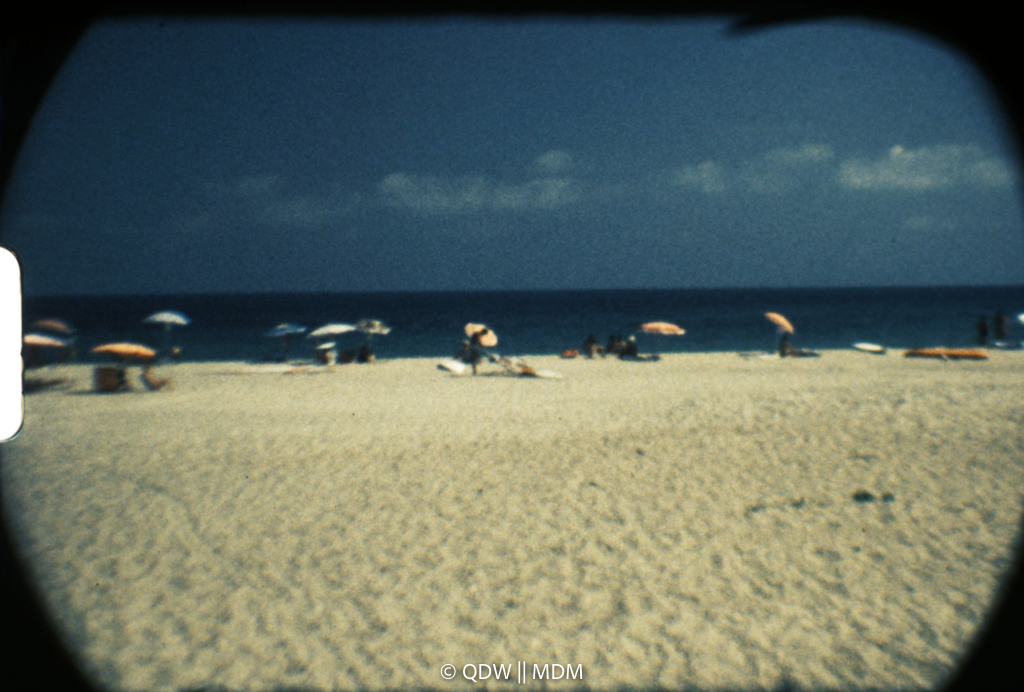 Frame 0504