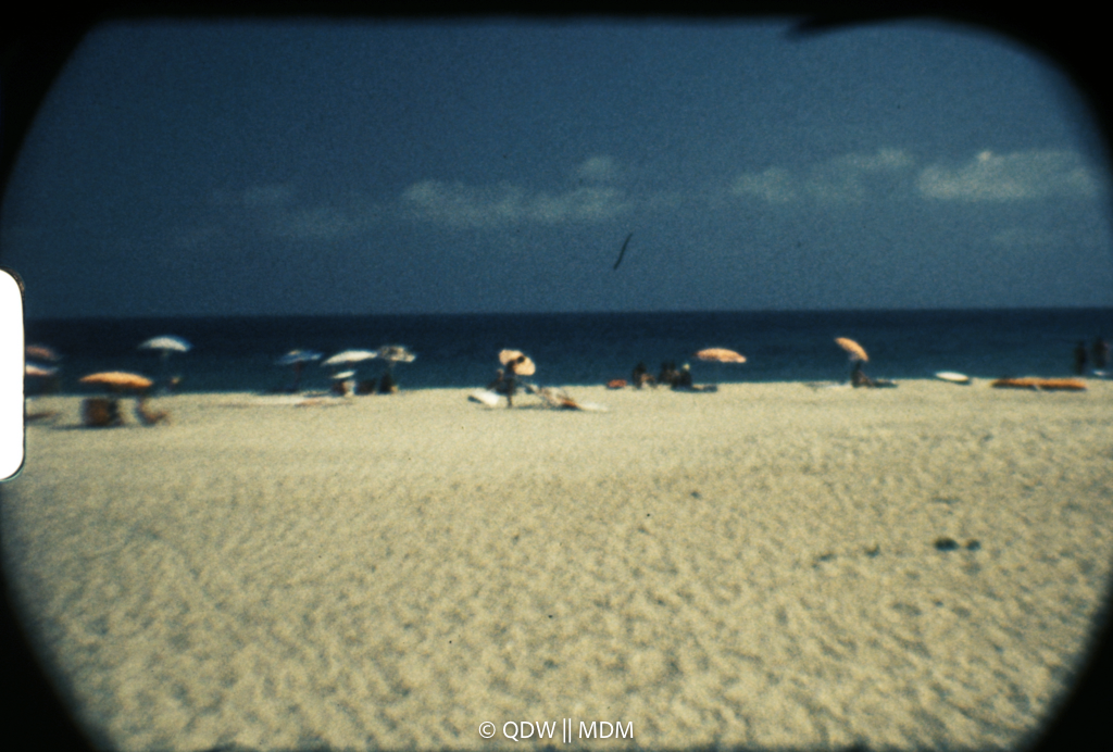 Frame 0505