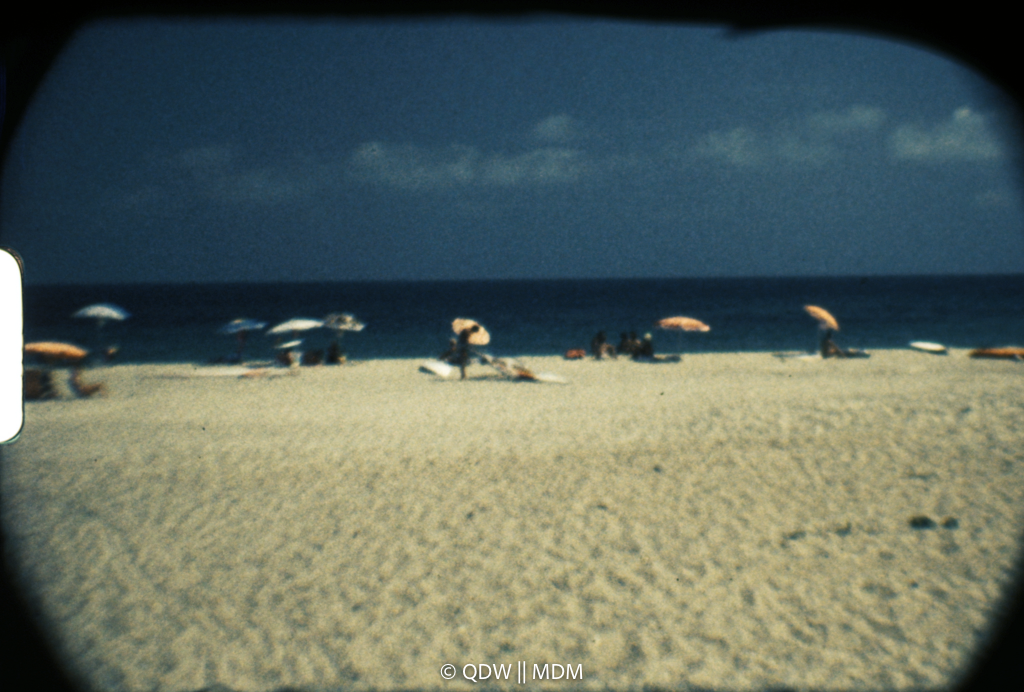 Frame 0511