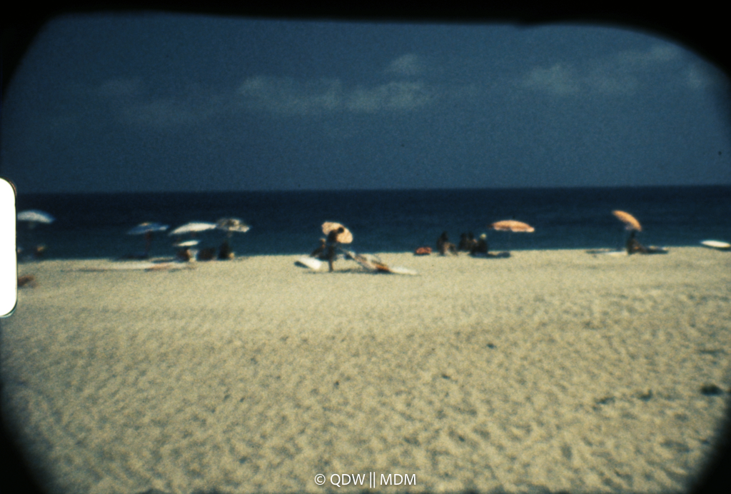 Frame 0517