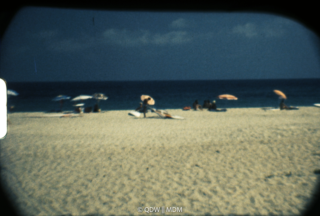 Frame 0519