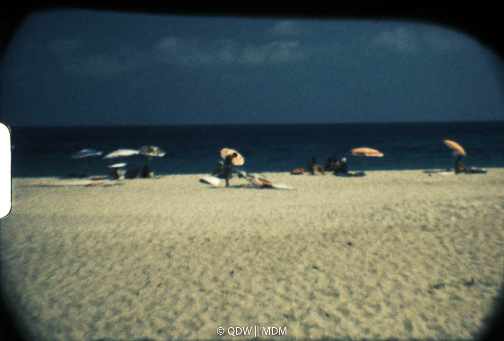 Frame 0521