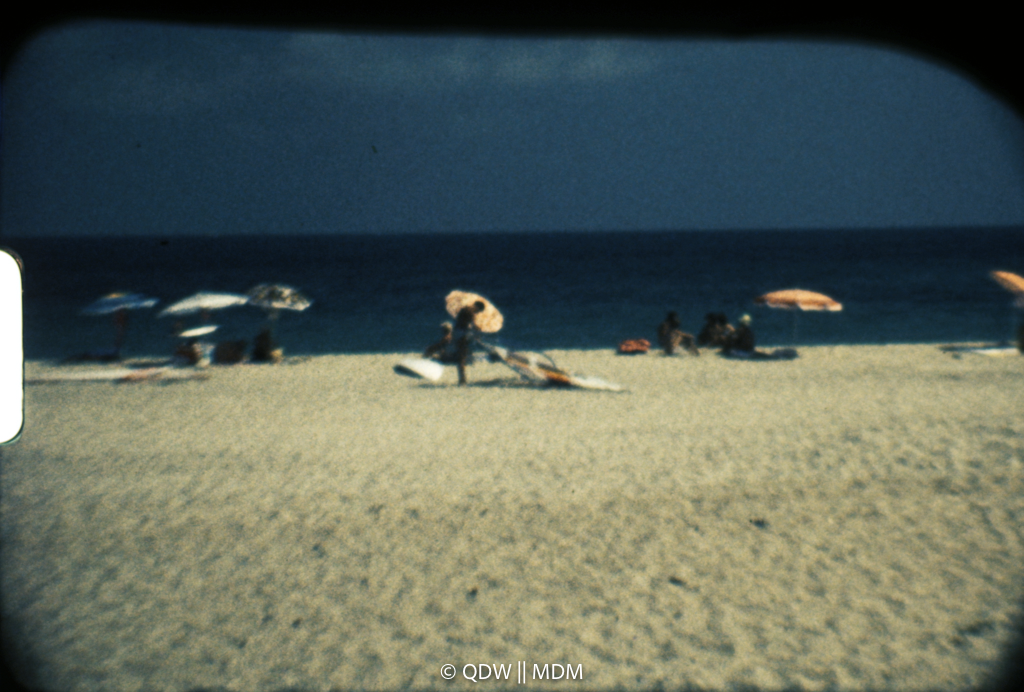 Frame 0528
