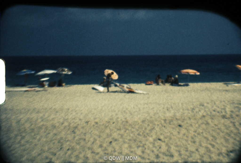 Frame 0529