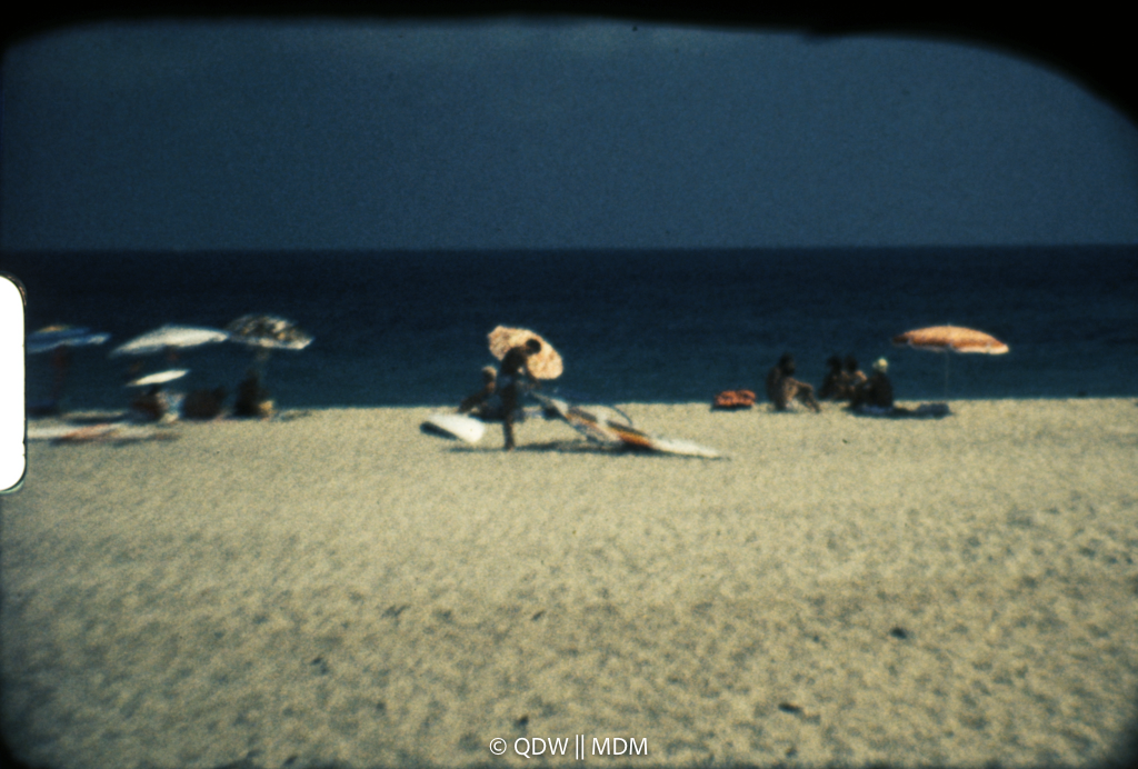 Frame 0534