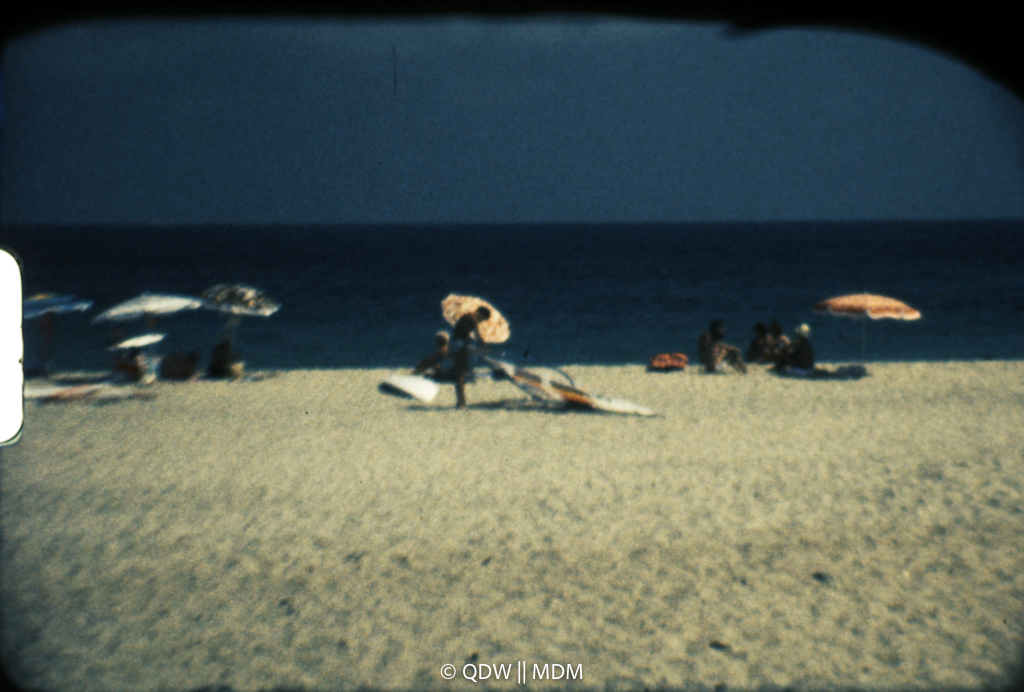 Frame 0535