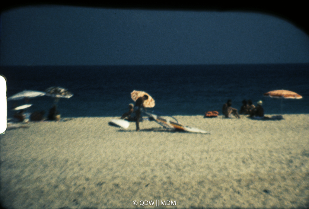 Frame 0542