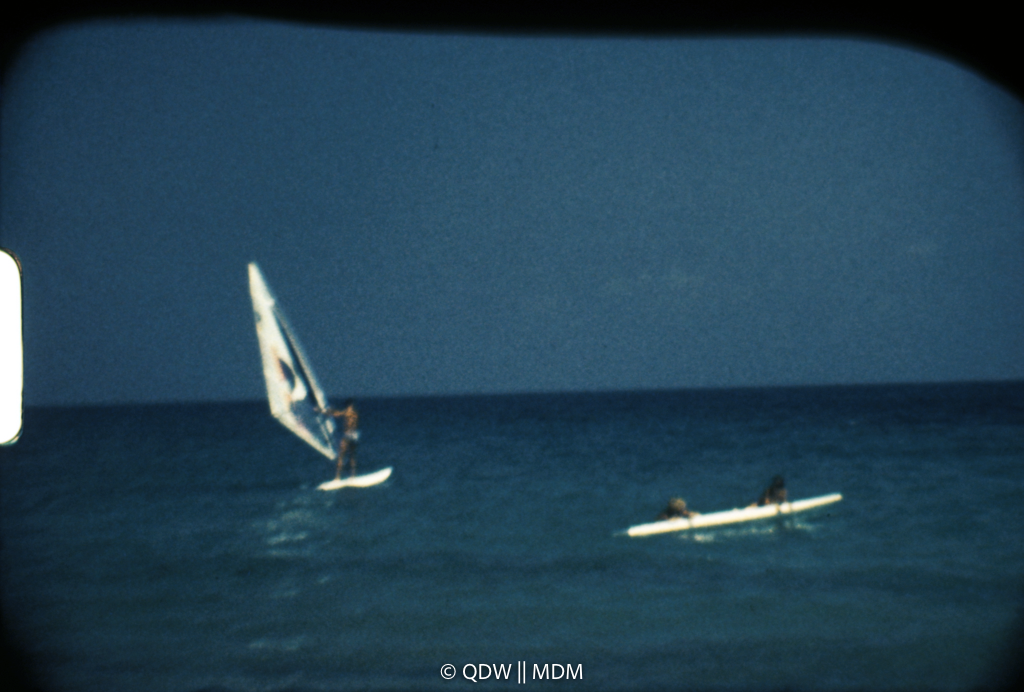 Frame 2733