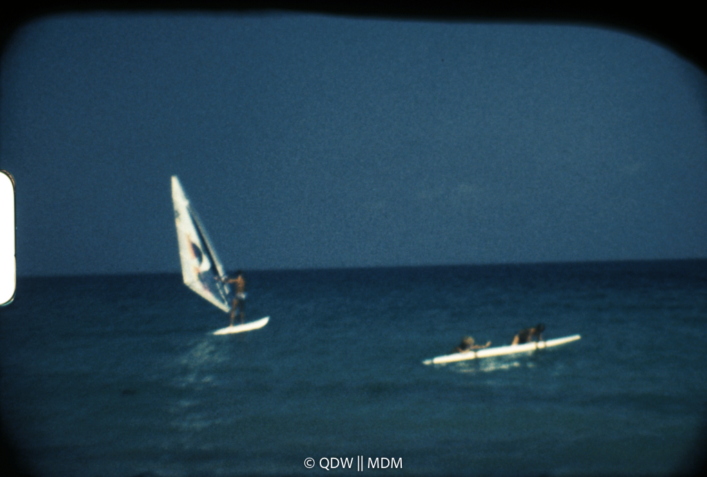 Frame 2737