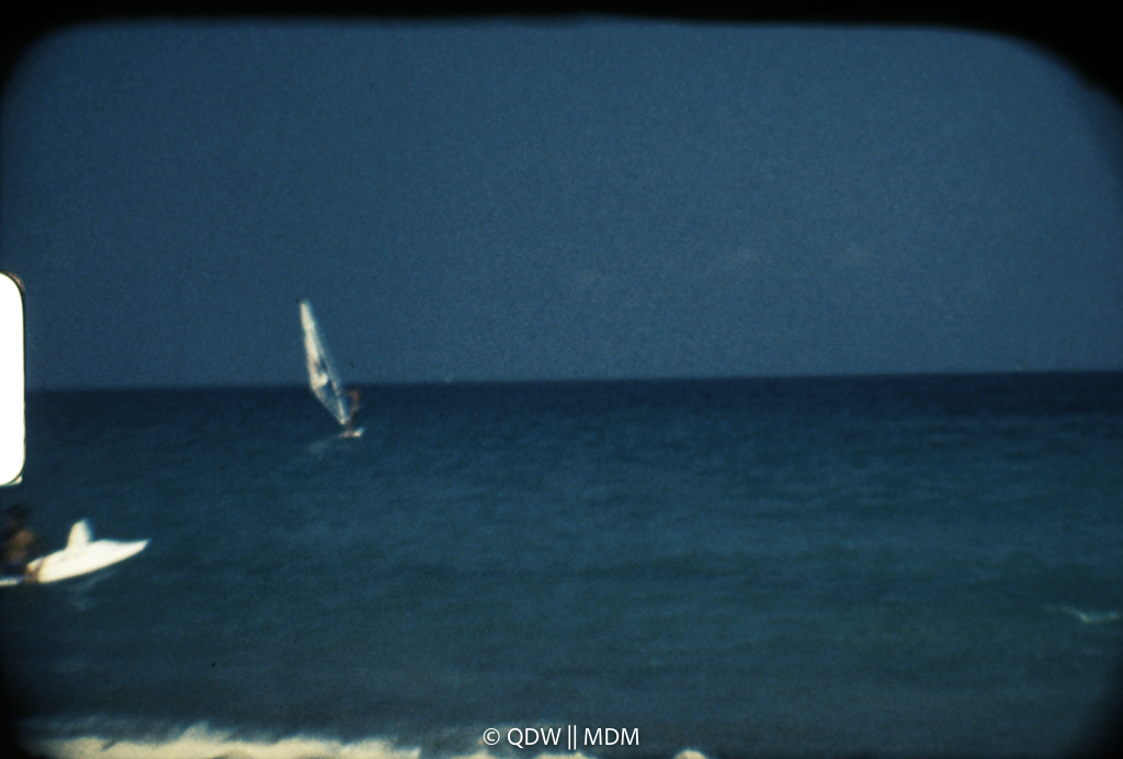 Frame 2768