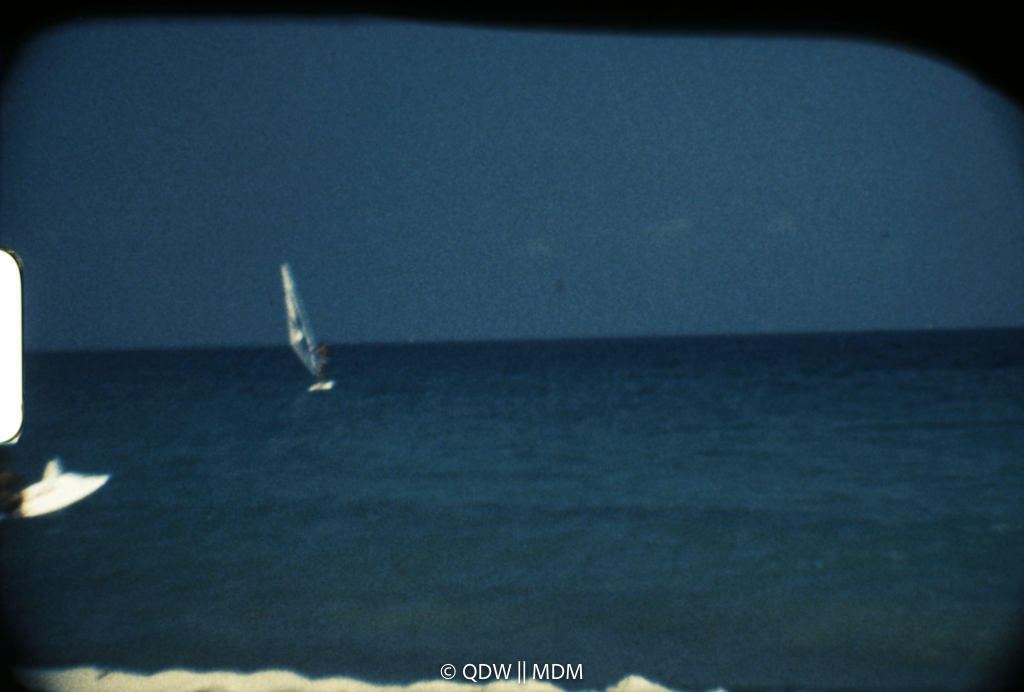 Frame 2782