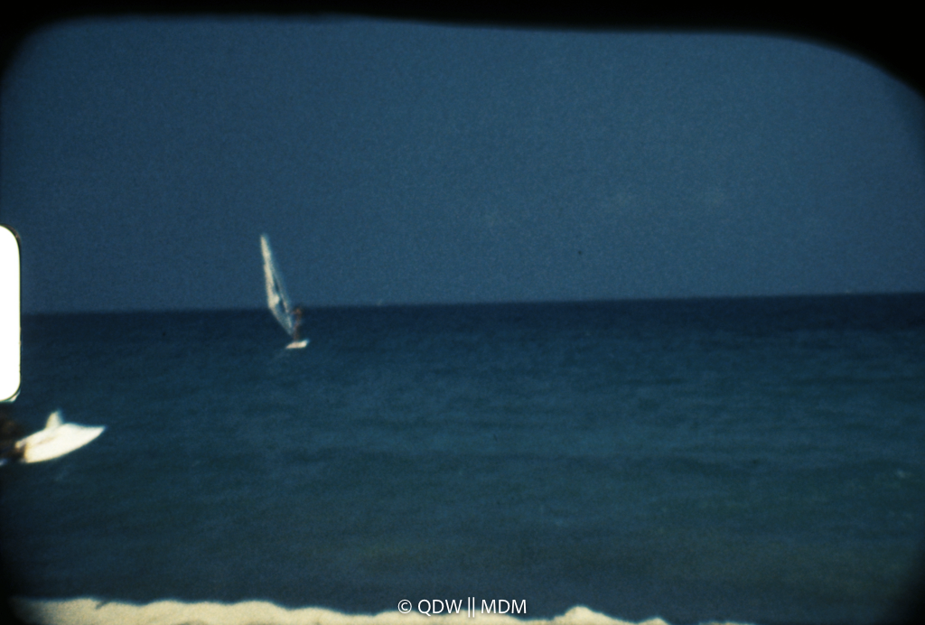 Frame 2784