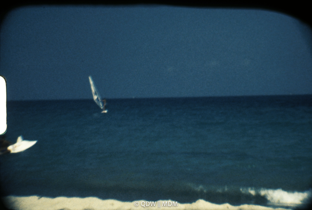 Frame 2798
