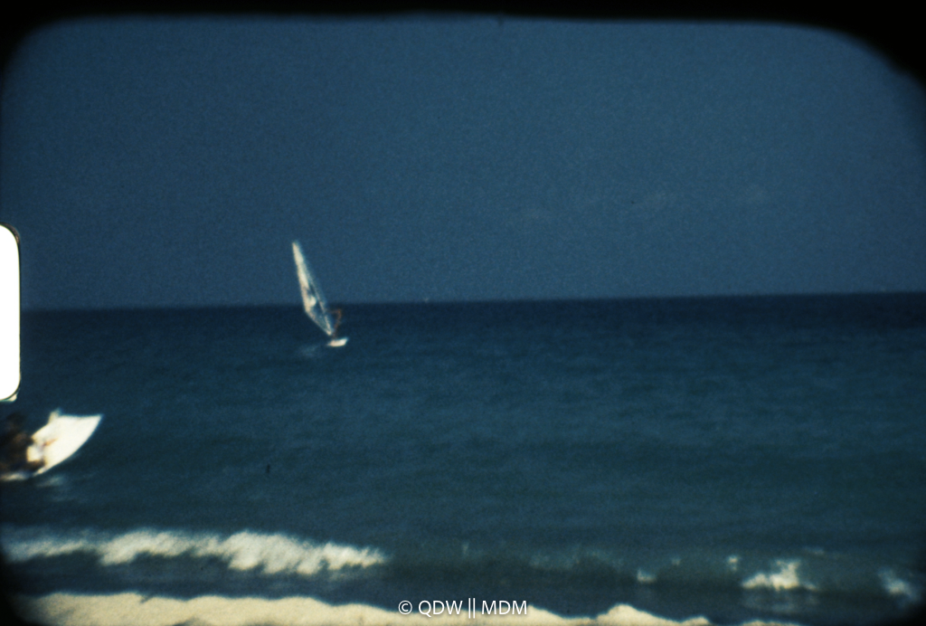 Frame 2876