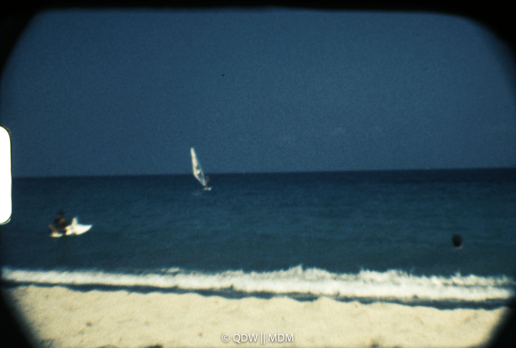 Frame 2894