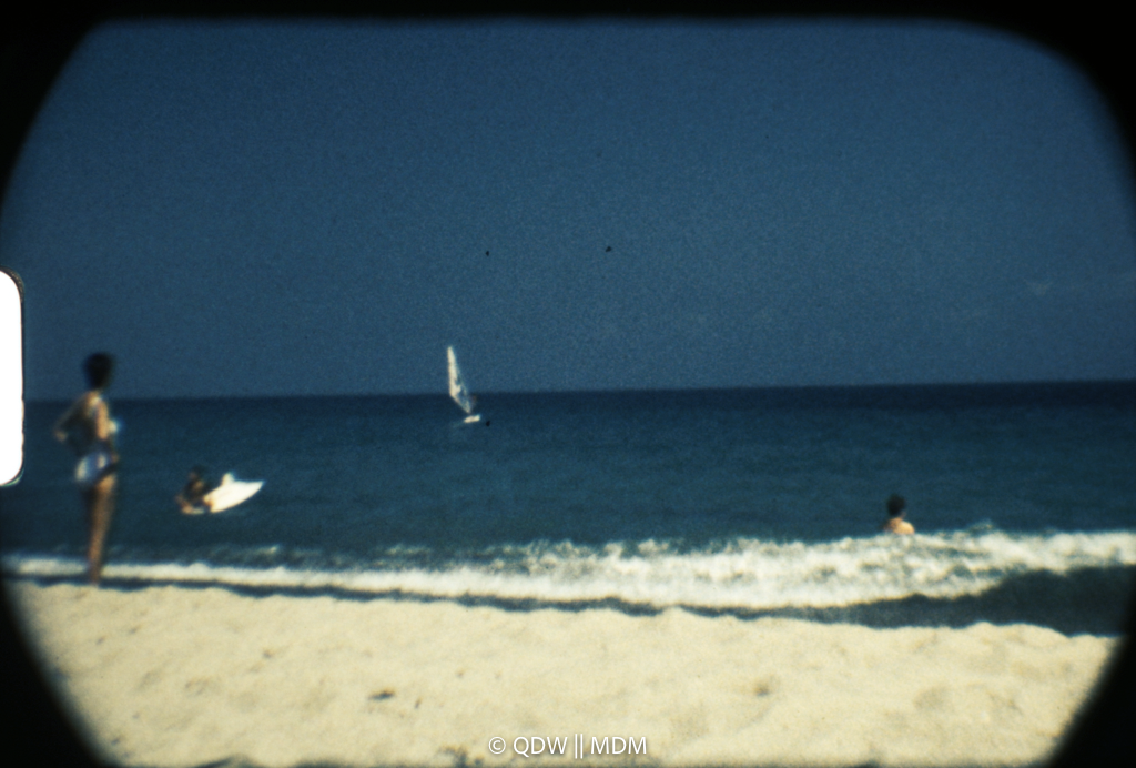 Frame 2905