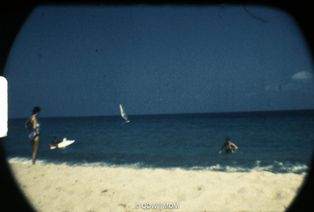 Frame 2913