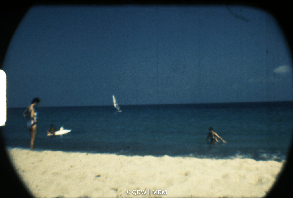 Frame 2919