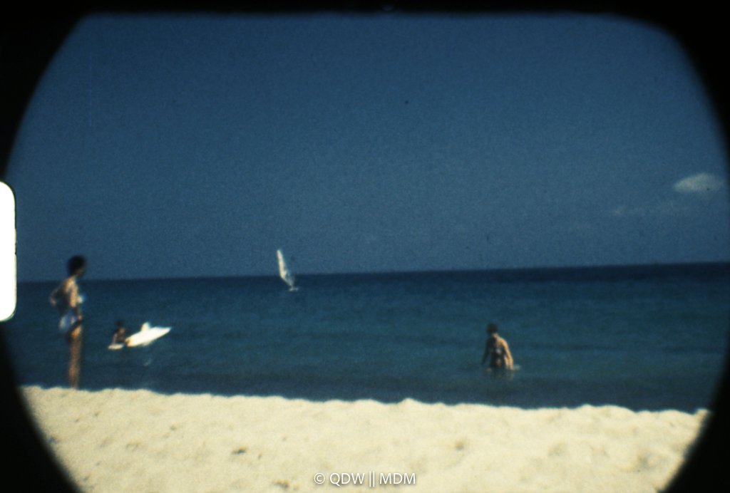Frame 2951