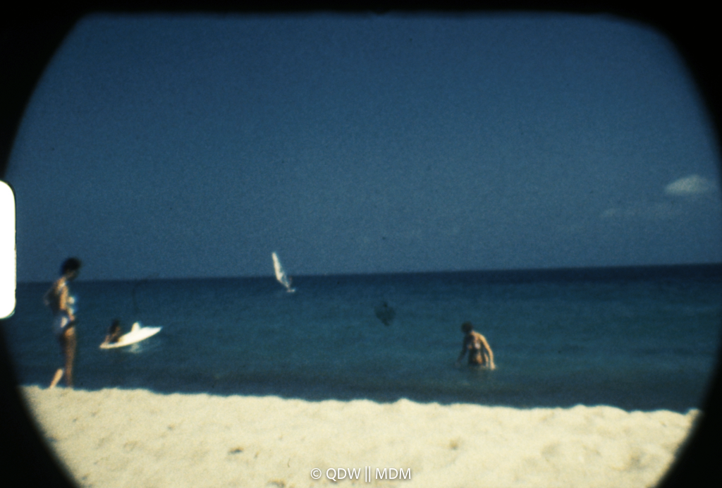 Frame 2959