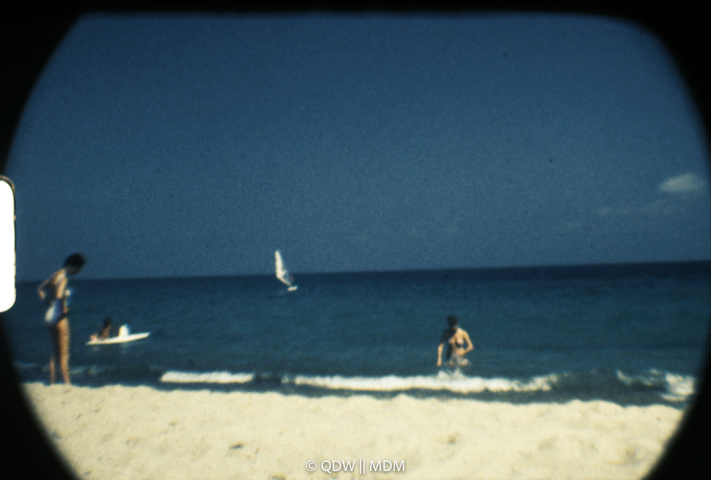 Frame 2973