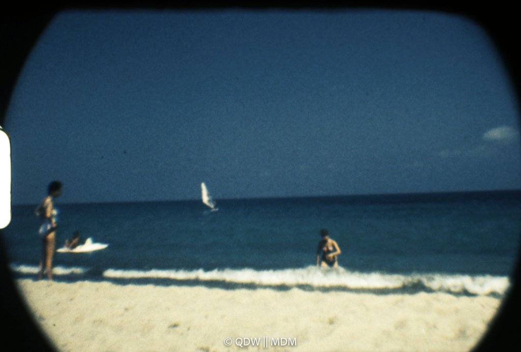 Frame 2978