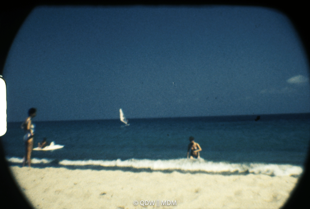 Frame 2979