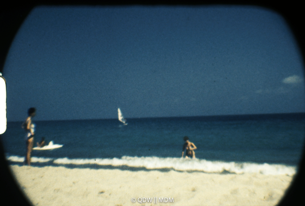 Frame 2980